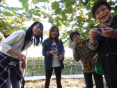 清里高原と勝沼のぶどう園への旅行会
