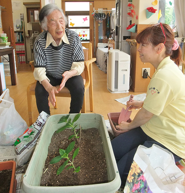 【ゆいま～るつばき】紫陽花を植え替えました