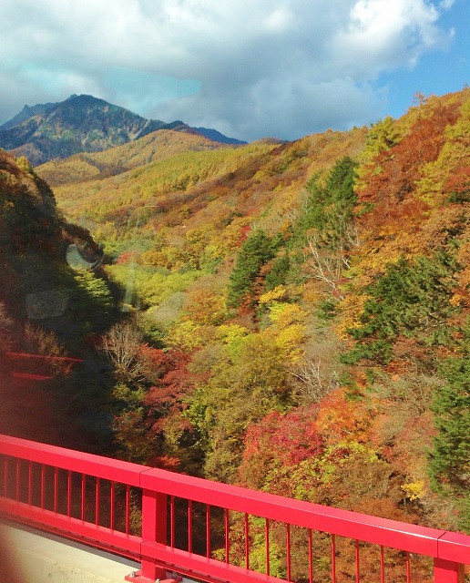 東沢大橋から見た紅葉