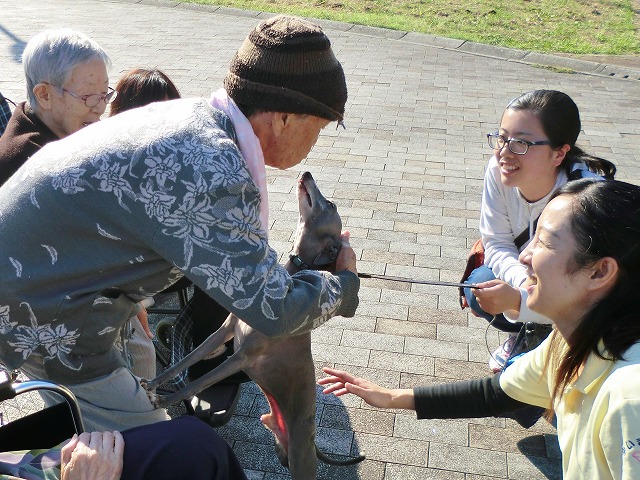 公園でワンちゃんとふれあい