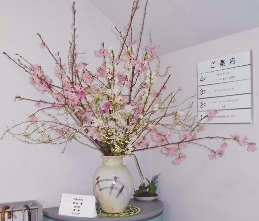 玄関の桜