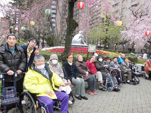 荒川区役所の枝垂れ桜