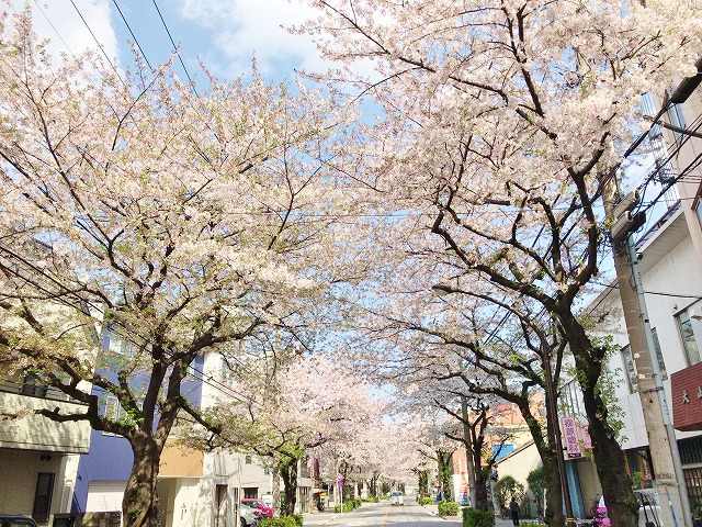 2017年3月の研修報告