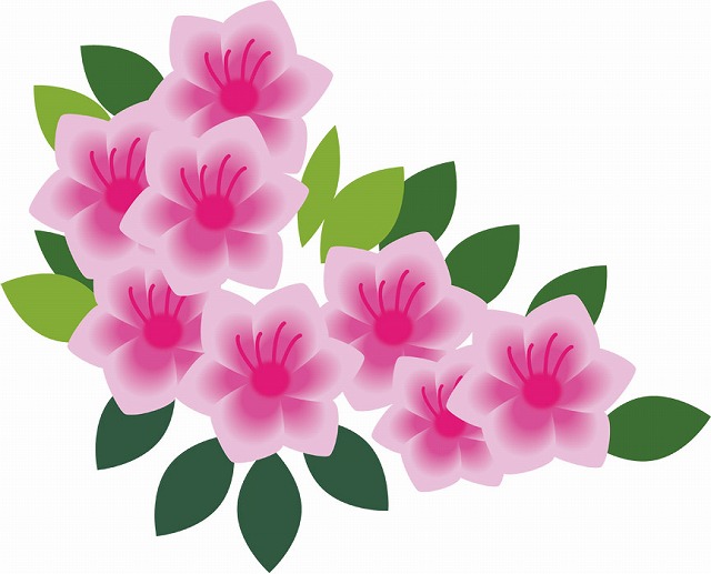 仕事とリラックスタイム